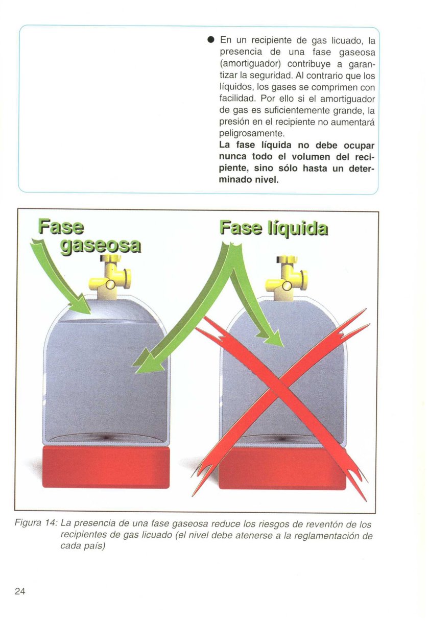 prgases (19)